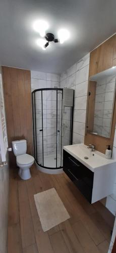 ein Badezimmer mit einem Waschbecken, einem WC und einem Spiegel in der Unterkunft Apartament Zacisze in Świecino