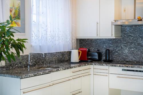 Kuchyň nebo kuchyňský kout v ubytování Residenz Kaiser Franz Josef