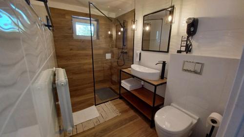 a bathroom with a toilet and a sink and a shower at Villa Karo in Łeba