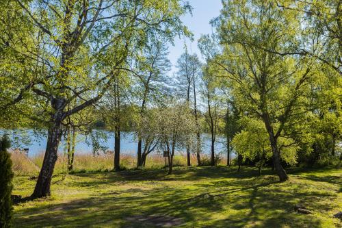 a park with trees and a lake in the background at Wila Dom Nad Jeziorem Mazury in Sorkwity
