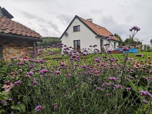 Fotografia z galérie ubytovania Siedlisko Orzechówko v destinácii Orzechówko