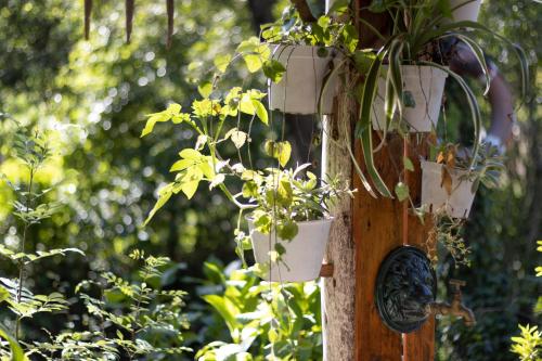Riba Rio - Unique Nature Spotにある庭