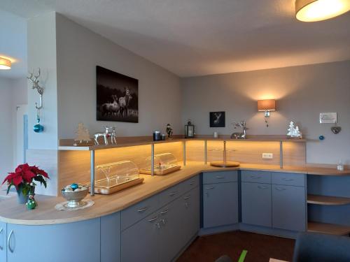 eine Küche mit blauen Schränken und einer Arbeitsplatte in der Unterkunft Mein Vierjahreszeiten Hotel Garni Superior in Sankt Andreasberg