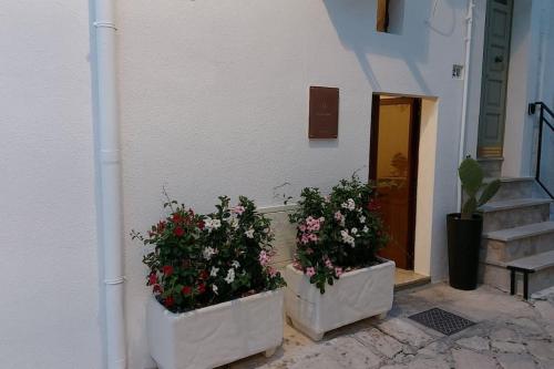 Kuvagallerian kuva majoituspaikasta BOSA HOME B&B, joka sijaitsee Ceglie Messapicassa