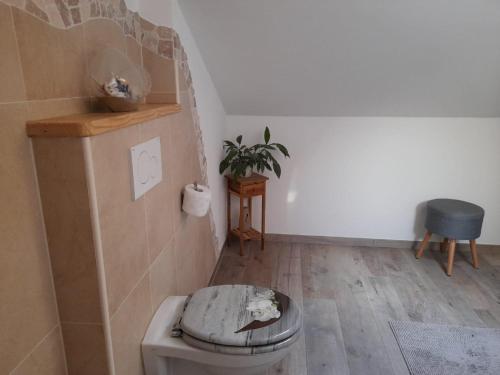 a bathroom with a toilet in a room at Haus Posaunenklang in Mittenwald