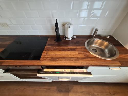 a small kitchen with a sink and a counter at Villa Loebel 1881 Annex Building in Juodkrantė