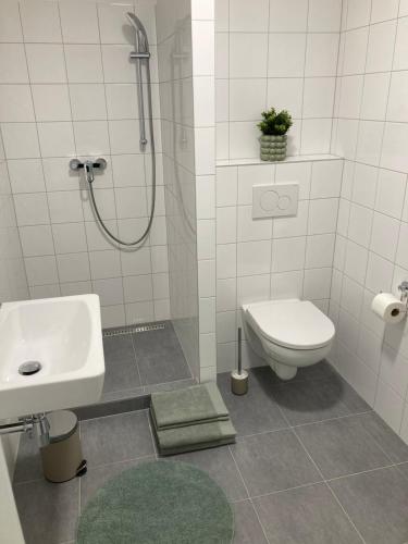 a bathroom with a shower and a toilet and a sink at Apartmány I. Třeboň in Třeboň