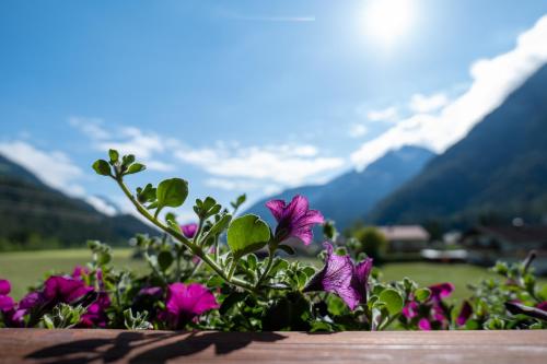 a bunch of purple flowers with mountains in the background at Haus Kappeller in Bach