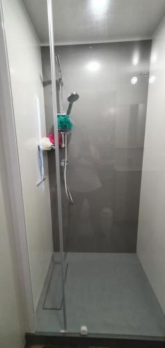 une douche avec une porte vitrée dans une salle de bain dans l'établissement Les Dunes de Contis, à Saint-Julien-en-Born