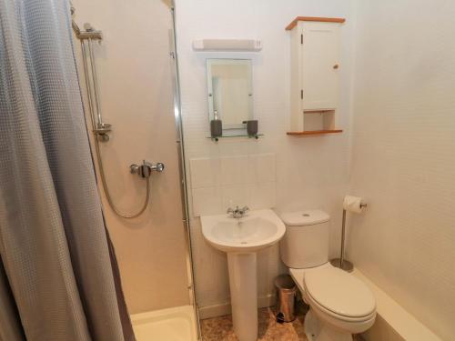 a bathroom with a toilet and a sink and a shower at Cheviot Hills in Wooler