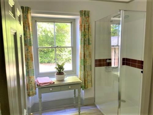 a bathroom with a shower and a table with a window at Bosvathick Garden Cottage in Constantine