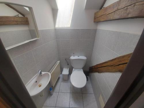 Apartments Žižkov b في براغ: حمام مع مرحاض ومغسلة وحوض استحمام