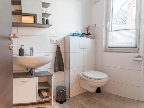 a bathroom with a toilet and a sink at Haus Mainsee in Sietow Dorf