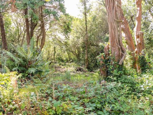 Ein Garten an der Unterkunft Kealduff Lower