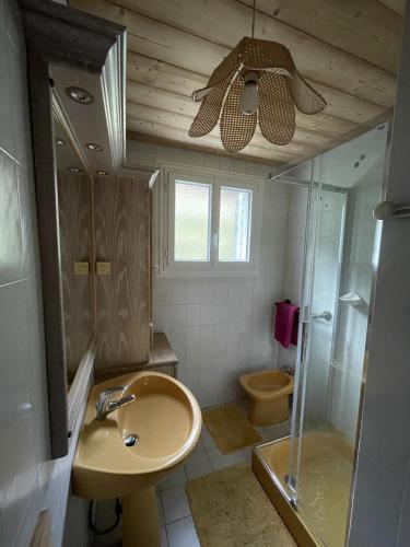 une salle de bain avec un lavabo, une douche et des toilettes dans l'établissement maison du haut de FREYDON ambiance Montagne, à Allevard