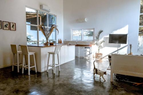 TV a/nebo společenská místnost v ubytování Family Villa