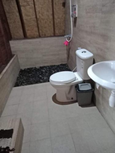 a bathroom with a toilet and a sink at Kintamani Cabins in Kintamani