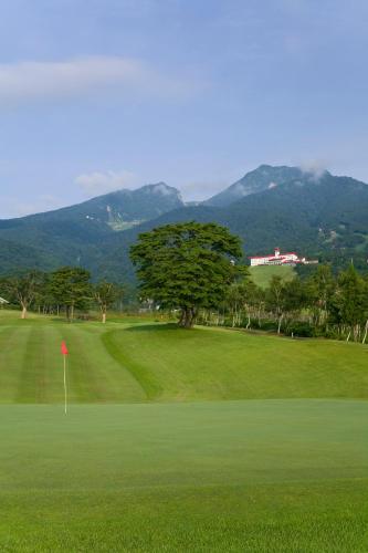 a golf course with a tree and a green at Akakura Kanko Hotel in Myoko