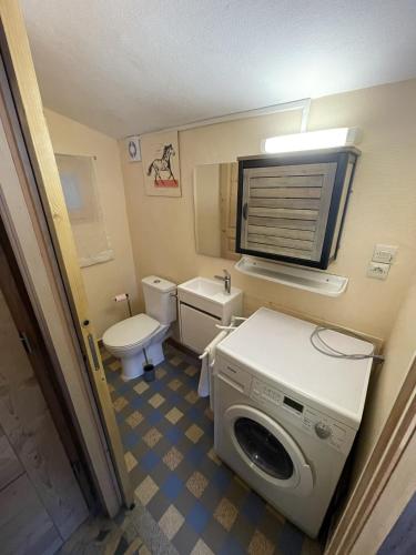 une salle de bain avec machine à laver et toilettes dans l'établissement la maison du haut de Freydon Ambiance Scandinave, à Allevard