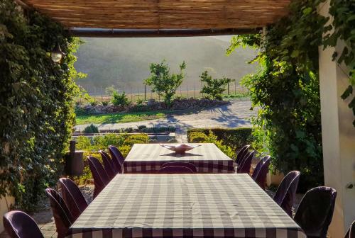a table and chairs in a patio with a view at Berluda Farmhouse and Cottages in Oudtshoorn