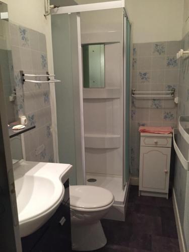 uma casa de banho com um WC, um lavatório e um chuveiro em appartement à la montagne em Eaux-Bonnes