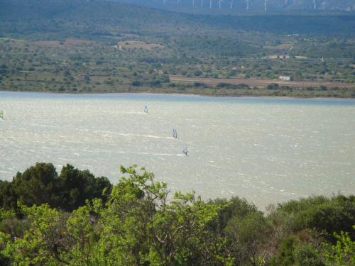 Fotografie z fotogalerie ubytování Leucate,cadre arboré,ombragé,sous les cyprès v destinaci Leucate
