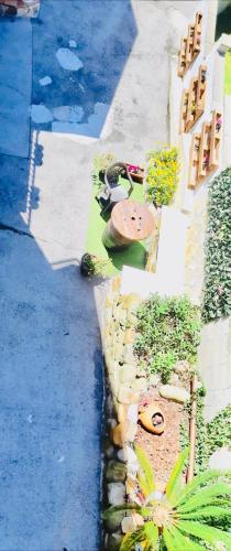 an aerial view of a garden with plants on a sidewalk at Apartamentos Casa Carmen in Suances