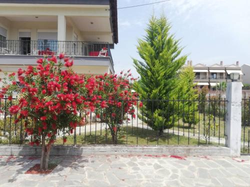 ケラモティにあるMy Erofiliの家の前の赤い花の柵