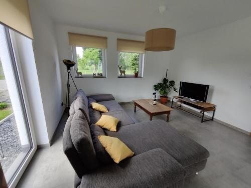 een woonkamer met een bank en een tv bij Gîte Sous les vents in Léglise