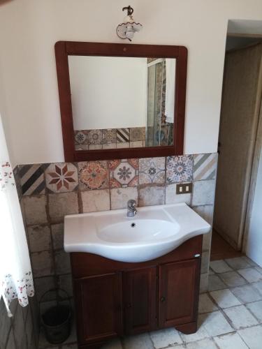 a bathroom with a sink and a mirror at Rustico Lo Scarpone in Camaiore