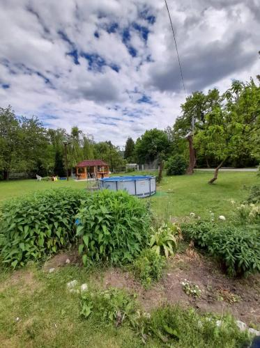 a garden with a blue object in the grass at Fónagy Apartmanok in Nagyvisnyó
