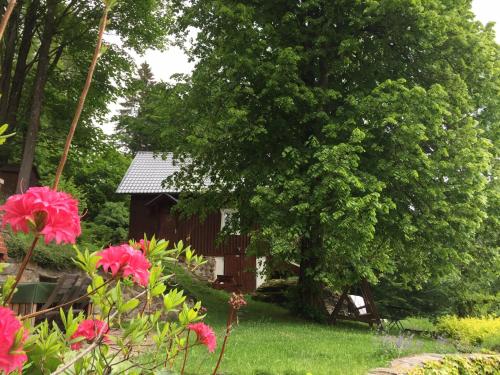 a garden with pink flowers and a small house at Chalupa Pod Skalou II. in Paseky nad Jizerou