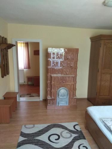 a living room with a fireplace in a room at Casa Adriana in Săpînţa