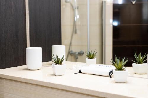 a bathroom counter with four white cups and plants on it at Olympic Park in Kołobrzeg