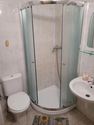 a bathroom with a shower and a toilet and a sink at Pension RELAX U Komína in Františkovy Lázně