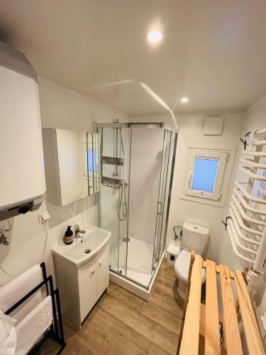 a bathroom with a shower and a toilet and a sink at Słoneczny Pagórek in Giżycko