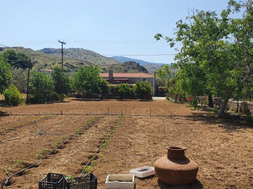 a garden with a large vase sitting in the dirt at Sun House Apartments in Eftalou in Mithymna