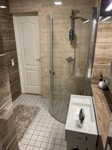 a bathroom with a shower and a white sink at Villa Alexandra in Otepää