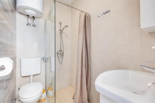 a bathroom with a shower and a toilet and a sink at Apartment Ana in Vantačići