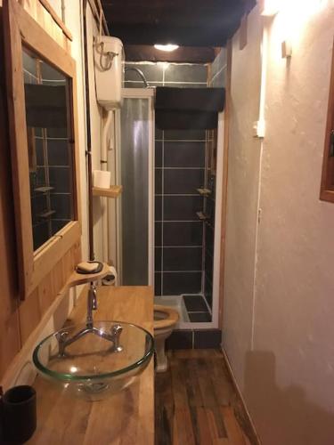 une salle de bain avec un lavabo en verre et des toilettes dans l'établissement Chalet Le Blij / Centre Station La Foux, à La Foux