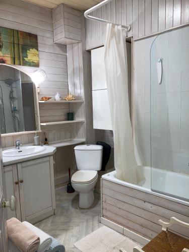 une salle de bain avec toilettes, douche et lavabo dans l'établissement Le Campus Victoria I - Train Station & Isabey St - 70m2, à Nancy