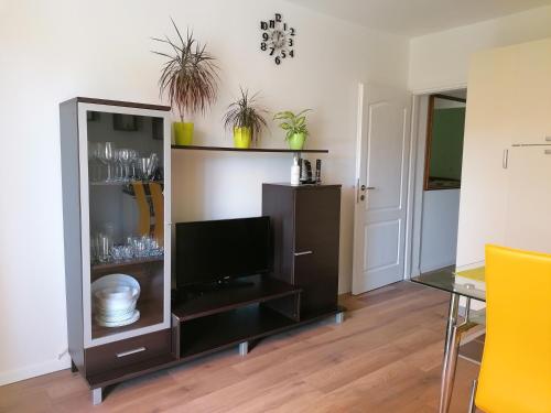 TV a/nebo společenská místnost v ubytování Apartment Poldrugo