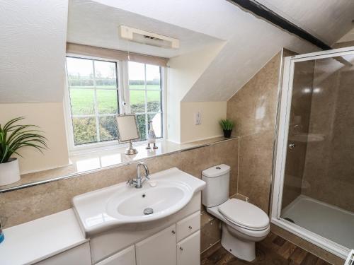 a bathroom with a sink and a shower and a toilet at Y Cartws in Llandysul