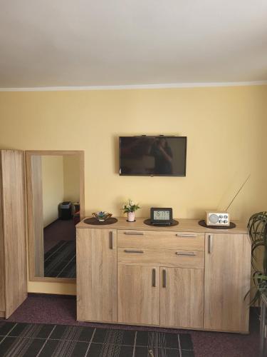 a room with a flat screen tv on a wall at Pension RELAX U Komína in Františkovy Lázně