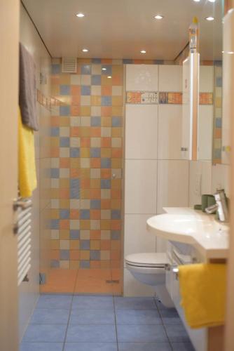 a bathroom with a shower and a toilet and a sink at Ferienwohnung Glusavinahüsle in Vandans