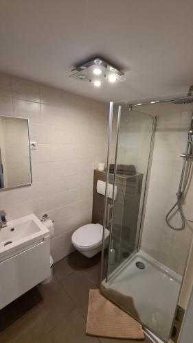 een badkamer met een douche, een toilet en een wastafel bij Monteurzimmer Senzig in Königs Wusterhausen