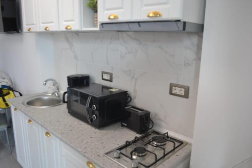 un comptoir de cuisine avec un four grille-pain et un évier dans l'établissement Studiou Andu Nord 10 by Alezzi, à Năvodari