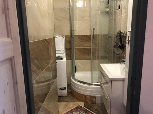 uma casa de banho com um chuveiro, um WC e um lavatório. em APARTMEN PRAHA em Praga