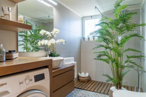 a bathroom with a washing machine and a palm plant at Green Acre Villa in Karteros