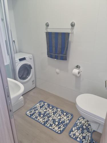 a bathroom with a toilet and a washing machine at Kamena kuća Pandorovica in Kali